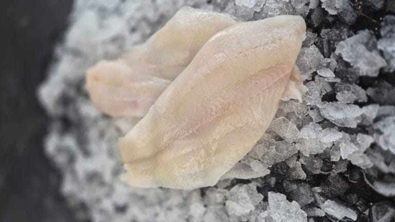 FriskFangetFisk.dk