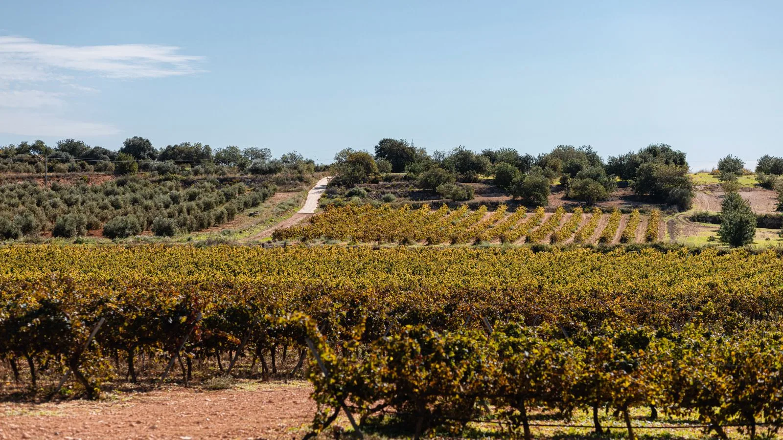 Priorat