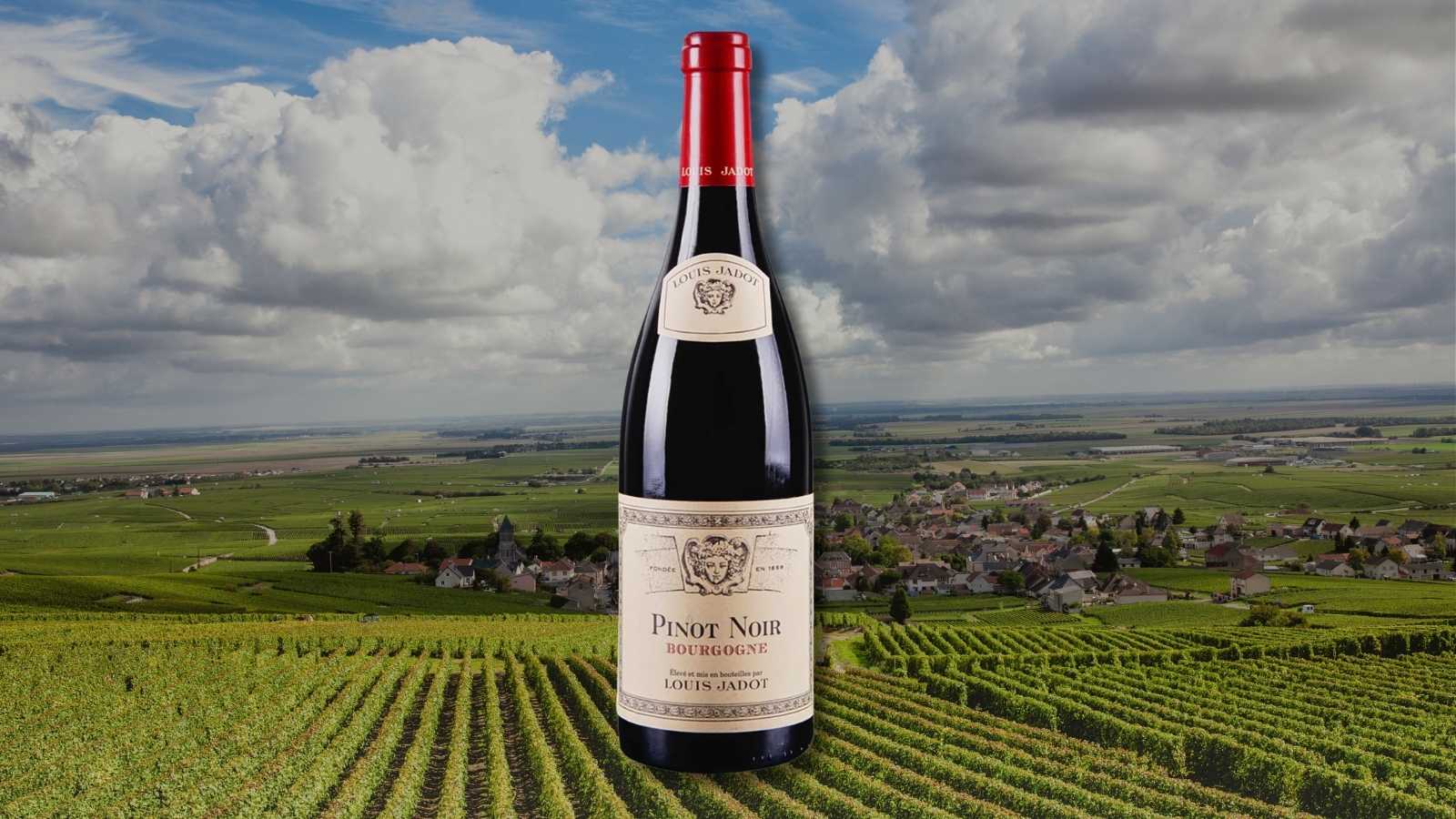 Pinot Noir for Canard