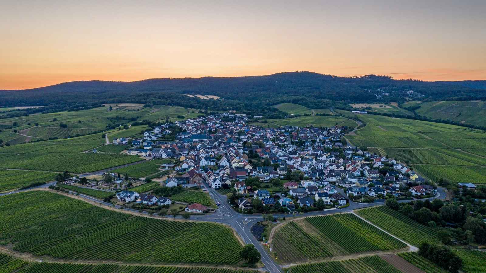 Vinsmagning i Rheingau