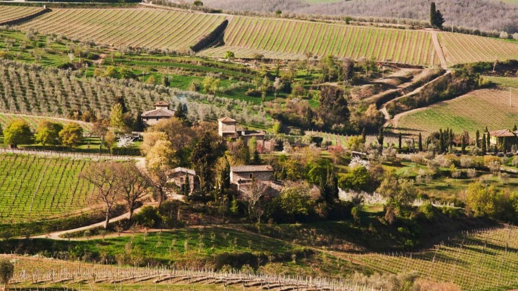 Vinsmagning i Italien