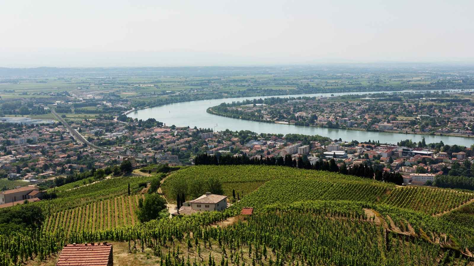 Vinsmagning i Rhône