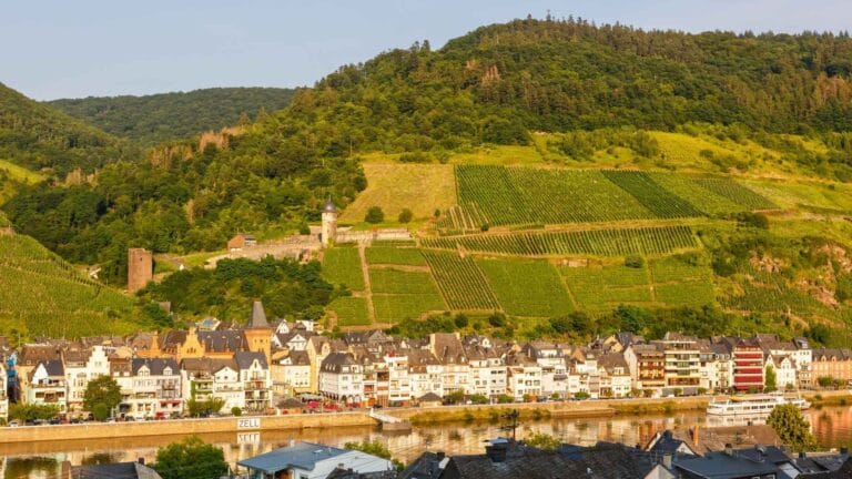 Vinsmagning i Tyskland
