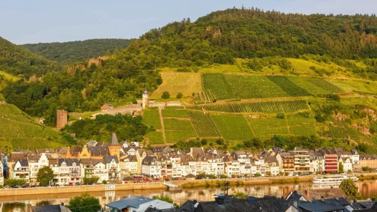 Vinsmagning i Tyskland