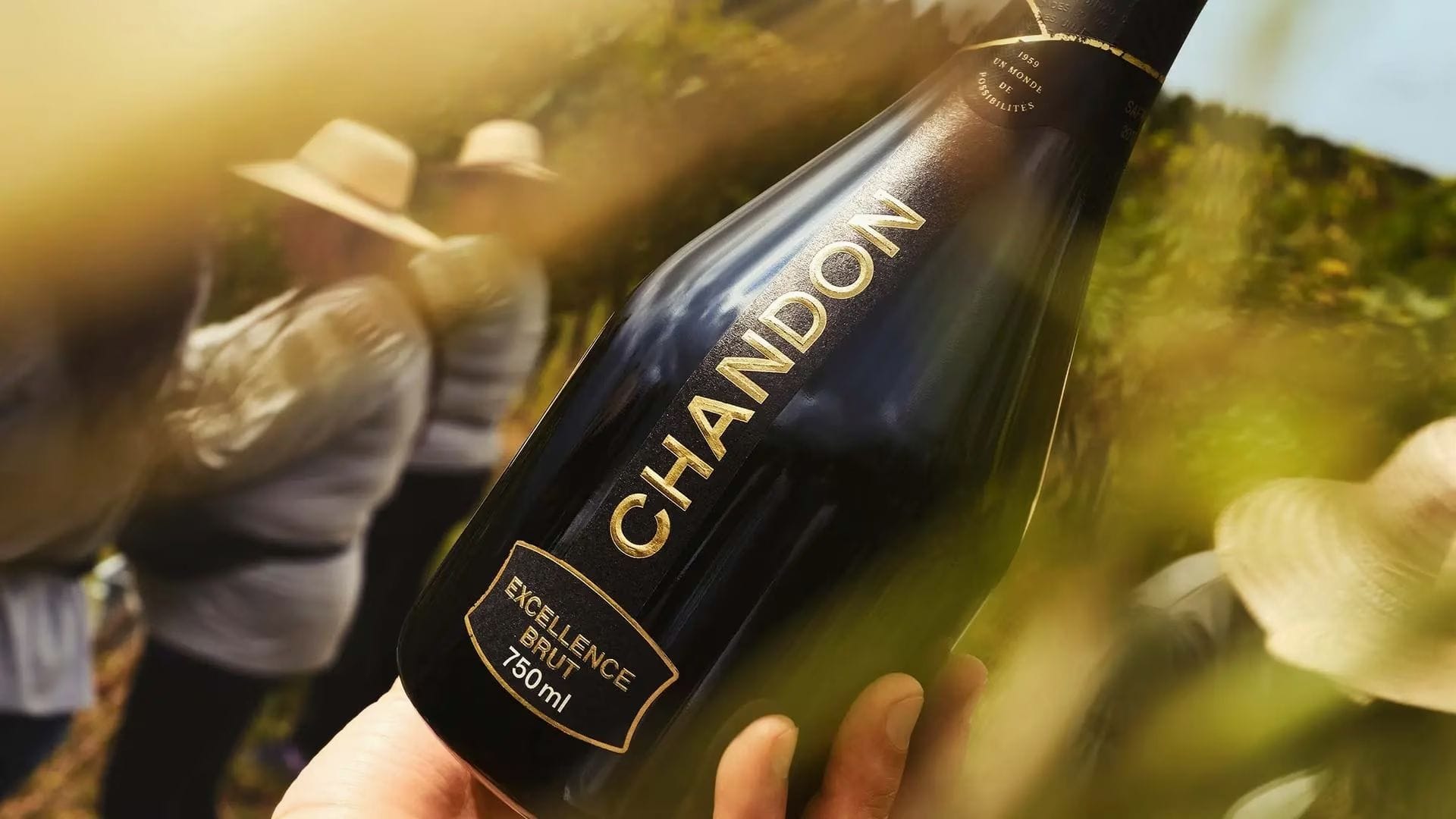 Chandon, mousserende vin fra Brasilien