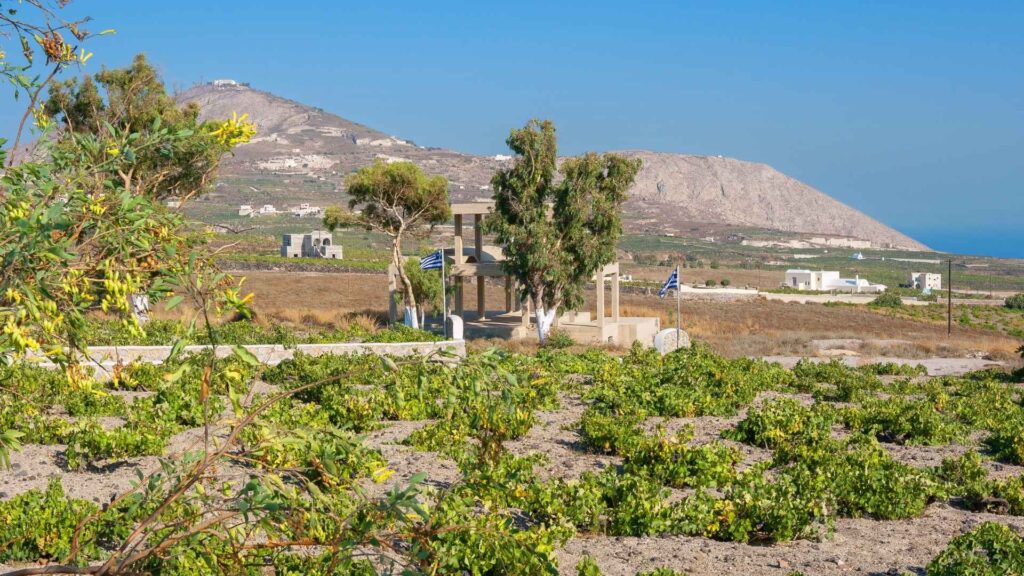 Winetalk er til alle, der elsker god vin og mad 9 Assyrtiko fra Santorini — den vulkanske hvidvin der smager af hav