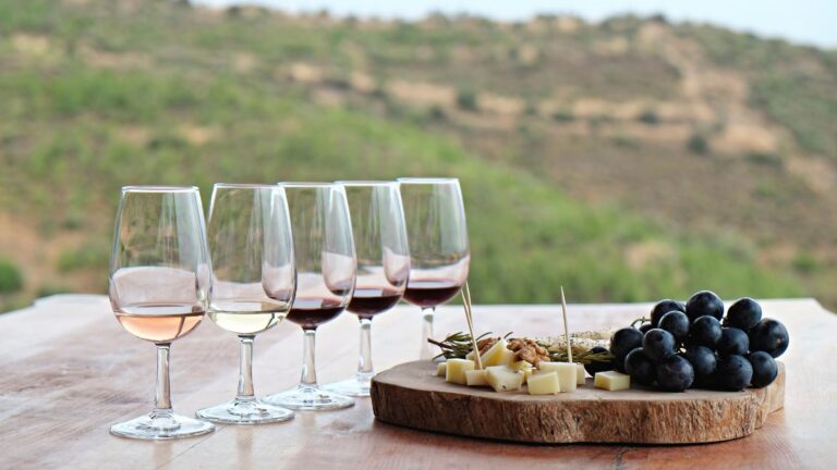 Vino Nobile di Montepulciano — Toscanas adelige rødvin