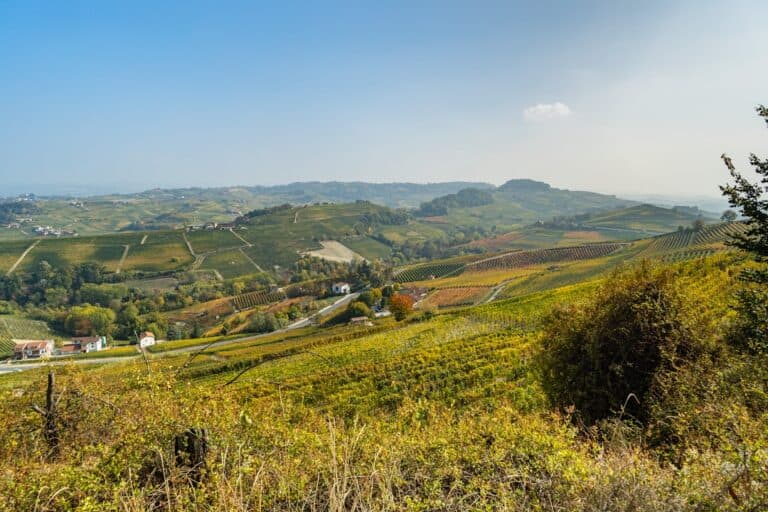 Barolo Guide Piemonte