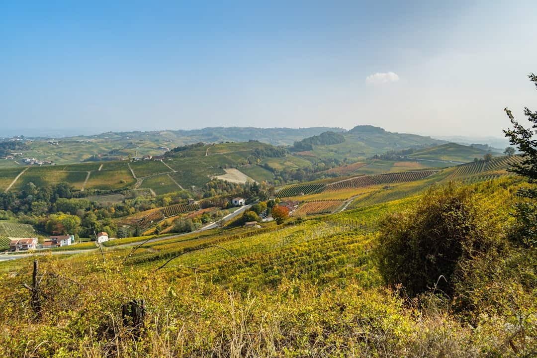 Barolo Guide Piemonte