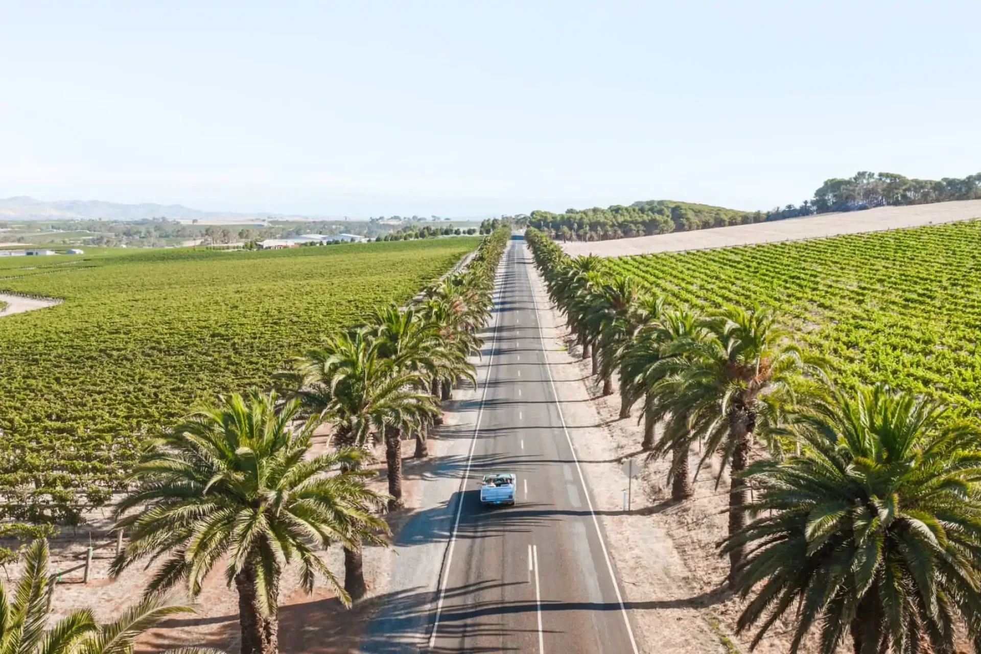 Australien. Barossa-Unique-Tours